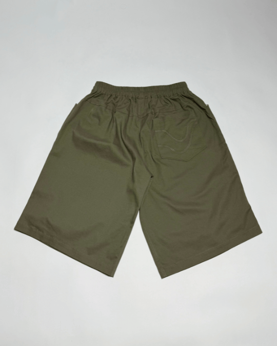 Elstan shorts light green